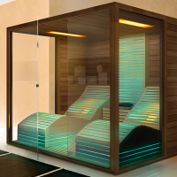  Kombinierte Sauna mit ergonomischen Relaxliegen Wien